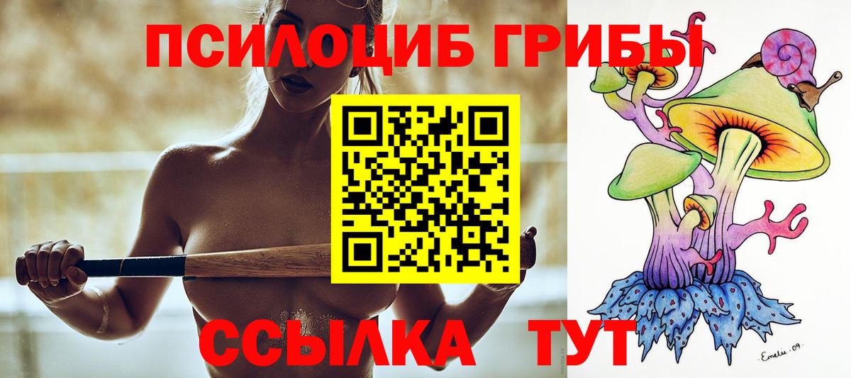 Златоуст  Галлюциногенные грибы прущие грибы  Вход с VPN  Псилоцибиновые грибы Magic Shrooms 