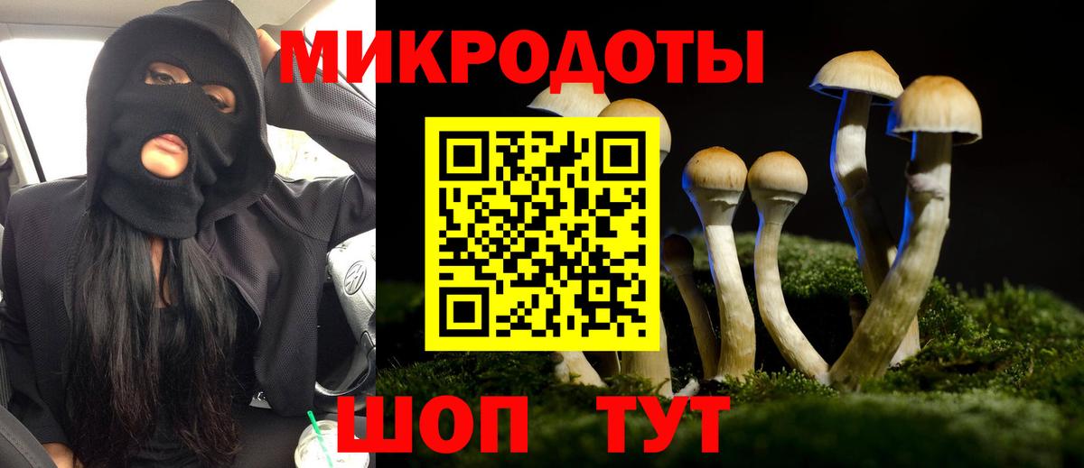 Псилоцибиновые грибы GOLDEN TEACHER Златоуст
